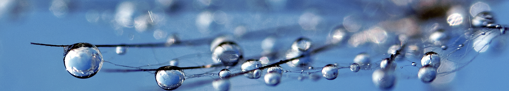 Perpetual SHARE-PLUS Long-Short Fund