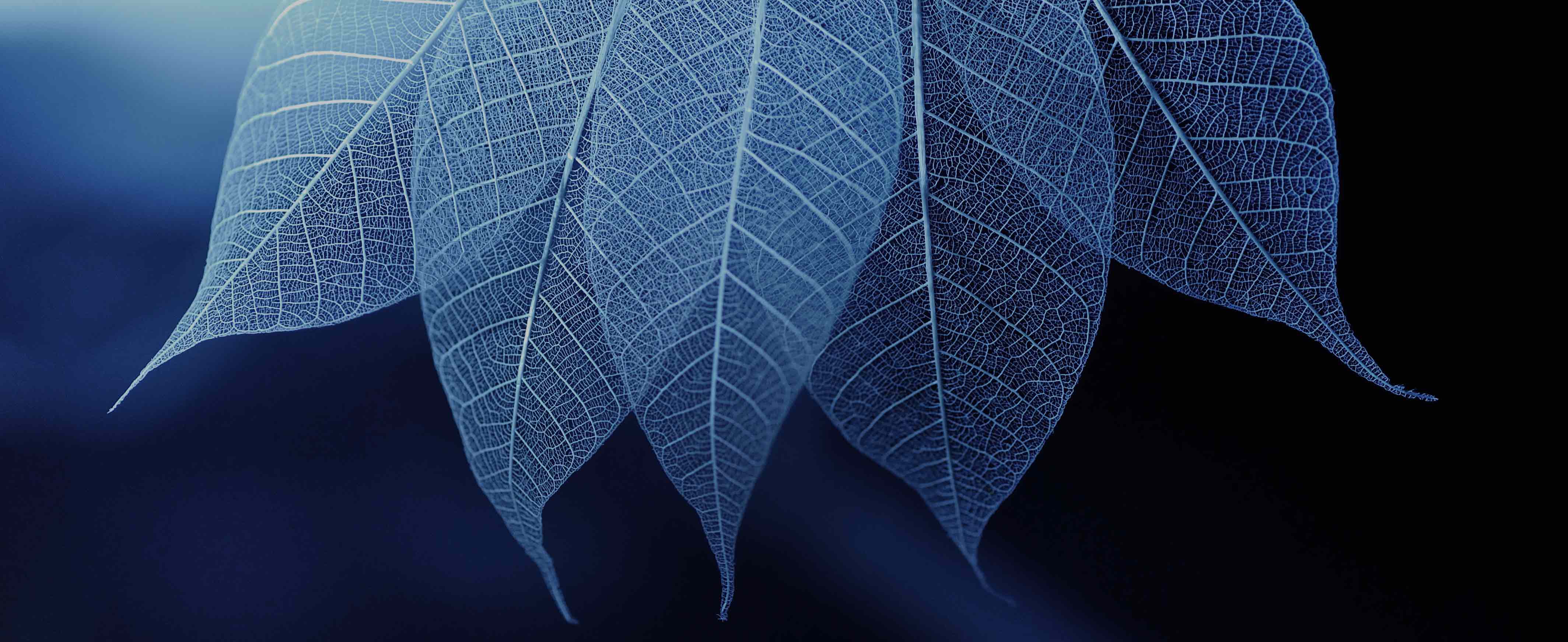 Investment philosophy