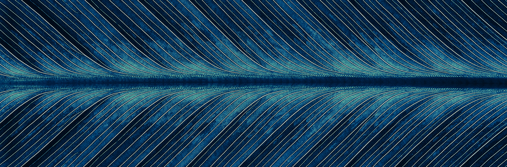 Perpetual Credit Income Trust